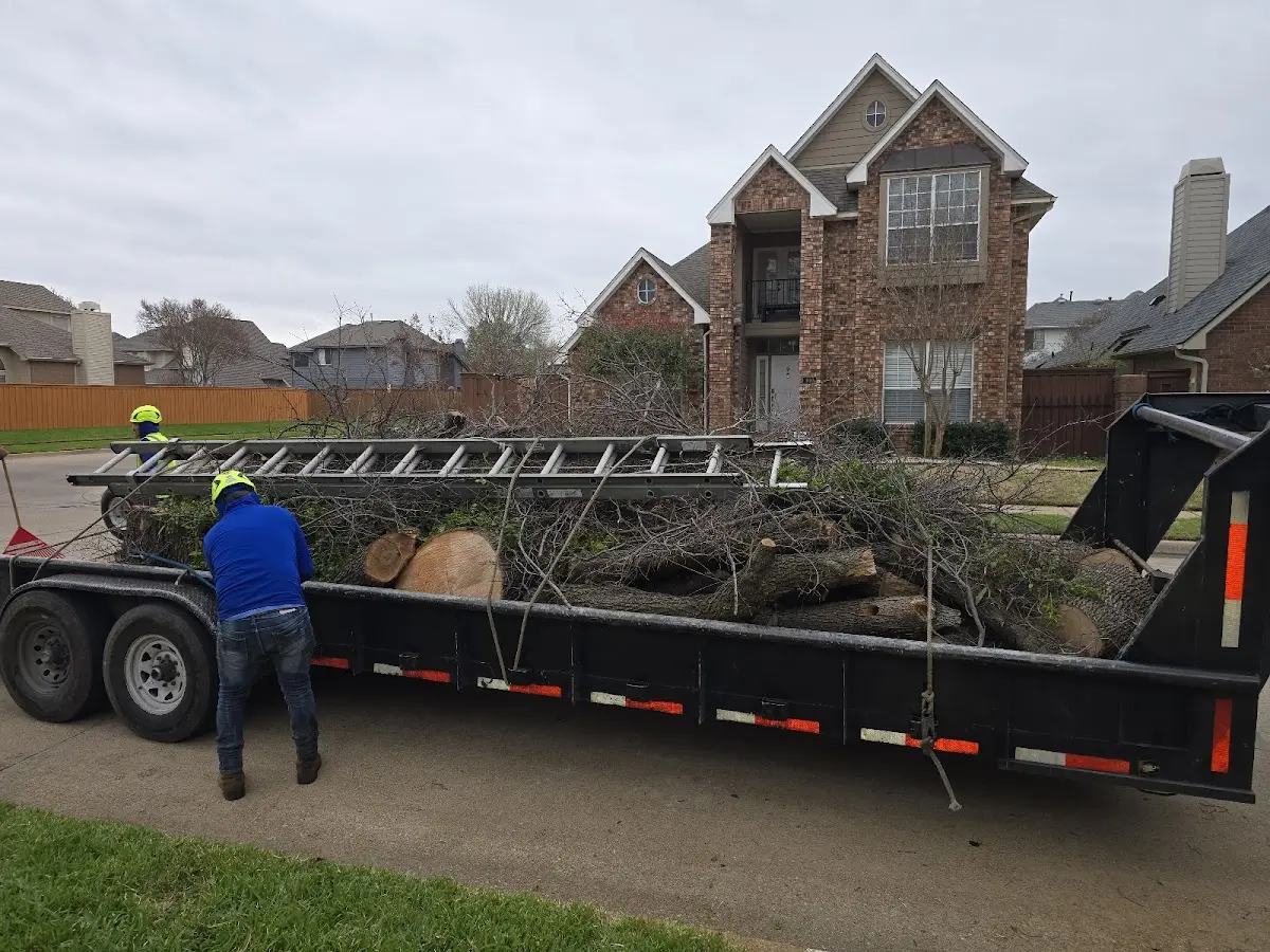 Expert Tree Fertilization with proper safety equipment in Theriot